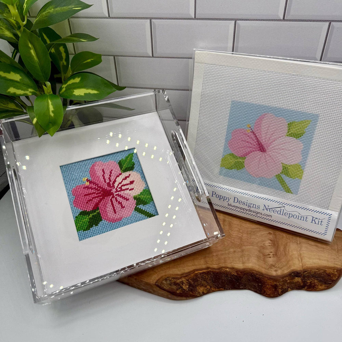 Acrylic Tray for the 4" x 4"