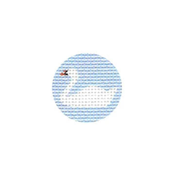 Blue Swan Mini Needlepoint