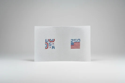 USA 250 Needlepoint